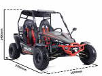 BUGGY ASIX 200cc automat 8“