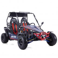 BUGGY ASIX 200cc automat 8“